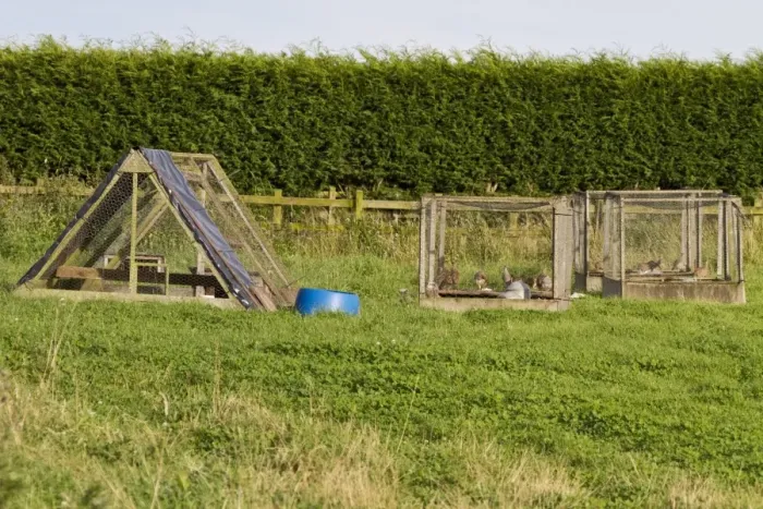 Framed Print : Breeding pens for Grey Partridge Framed Print : Breeding pens for Grey Partridge