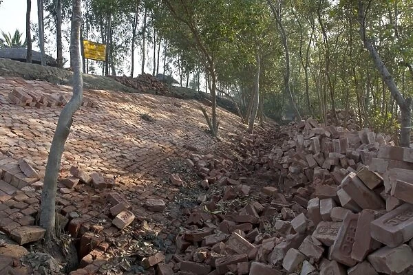 Bricks used for flood defence repairs, Sundarbans, Ganges Delta, West Bengal, India, March