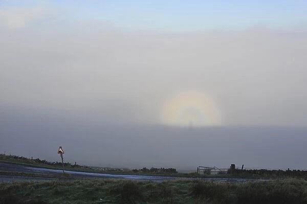Brocken spectre seen from hilltop, appears when sun shines from behind person who is looking down from ridge or peak into mist or fog, Jeffrey Hill, Longridge, Lancashire, England, january