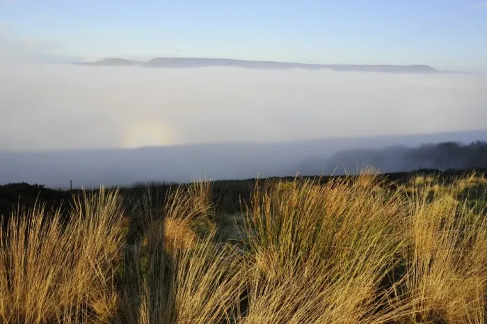 Framed Print : Brocken spectre seen from hilltop, appears when sun shines from behind person who is looking down from ridge or peak into mist or fog, Jeffrey Hill, Longridge, Lancashire, England, january Framed Print : Brocken spectre seen from hilltop, appears when sun shines from behind person who is looking down from ridge or peak into mist or fog, Jeffrey Hill, Longridge, Lancashire, England, january