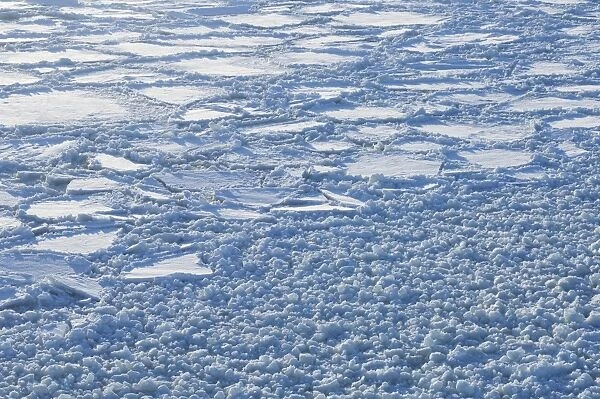 Broken ice on frozen sea, near Helsinki, Uusimaa, Gulf of Finland, Baltic Sea, Finland, winter