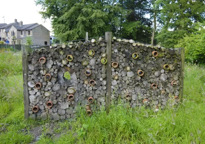 Framed Print : Bug hotel in conservation area, Chipping, Forest of Bowland, Lancashire, England, July Framed Print : Bug hotel in conservation area, Chipping, Forest of Bowland, Lancashire, England, July