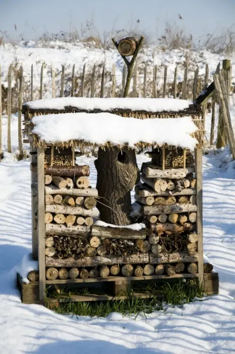 Framed Print : Bug hotel covered in snow, Crossness Nature Reserve, Bexley, Kent, England, february Framed Print : Bug hotel covered in snow, Crossness Nature Reserve, Bexley, Kent, England, february