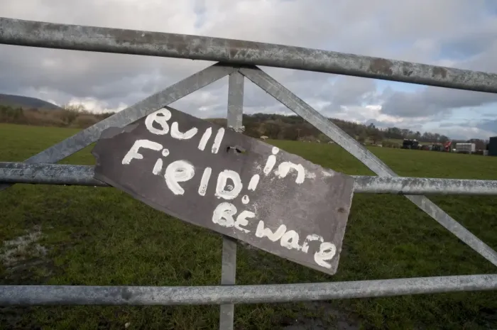Framed Print : Bull in Field! Beware sign on farm gate, Chipping, Lancashire, England, January Framed Print : Bull in Field! Beware sign on farm gate, Chipping, Lancashire, England, January