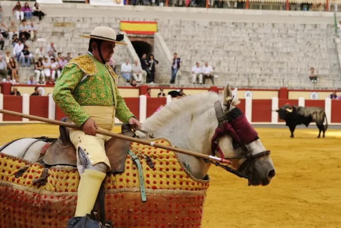 Framed Print : Bullfighting, Picador with lance, mounted on horse with Peto protection, fighting bull in bullring Framed Print : Bullfighting, Picador with lance, mounted on horse with Peto protection, fighting bull in bullring