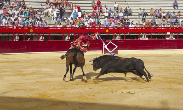 Framed Print : Bullfighting, Rejoneador with rejon de muerte, fighting bull from horseback in bullring, Corrida de rejones Framed Print : Bullfighting, Rejoneador with rejon de muerte, fighting bull from horseback in bullring, Corrida de rejones