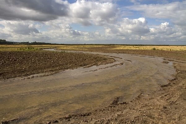 Burnham Overy Marsh, recently cut by a rotary cutter these shallow channels are designed to hold standing water