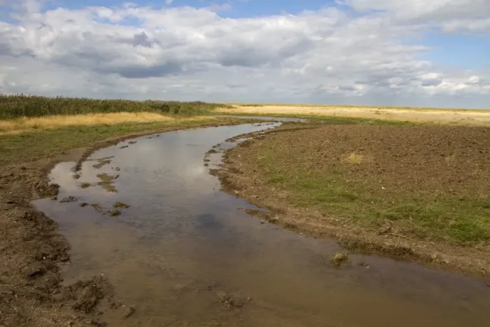 Framed Print : Burnham Overy Marsh, recently cut by a rotary cutter these shallow channels are designed to hold standing water Framed Print : Burnham Overy Marsh, recently cut by a rotary cutter these shallow channels are designed to hold standing water