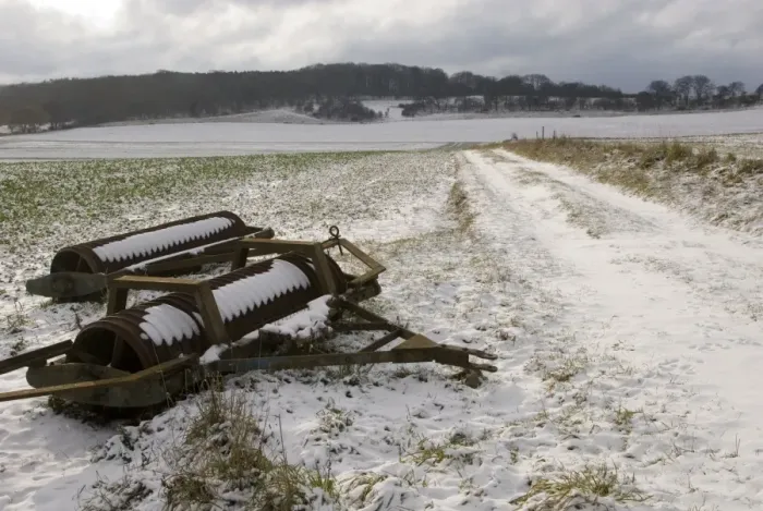 Framed Print : Cambridge Rollers in snow covered arable field, near Aldbury, Chilterns, Hertfordshire, England, november Framed Print : Cambridge Rollers in snow covered arable field, near Aldbury, Chilterns, Hertfordshire, England, november