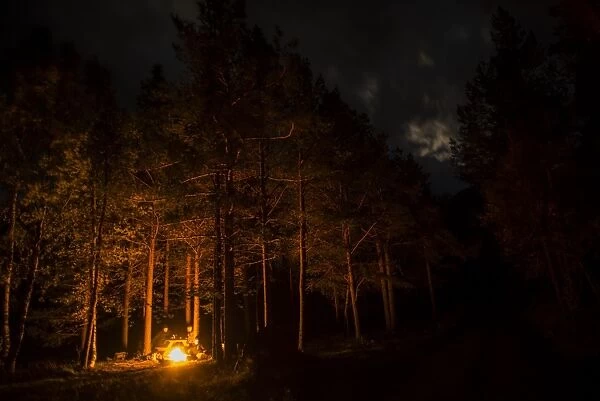 Camp fire in coniferous forest at night, Skibotn, Lapland, North Norway, September