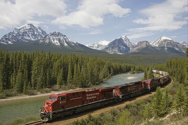 Canadian Pacific railway train travelling along track, with range of mountains in background, Bow Range, Morant's Curve, Banff N. P. Rocky Mountains, Alberta, Canada, june