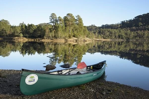 Canoe on shore of freshwater loch, with Scots Pine (Pinus sylvestris) forest in background, Loch Beinn a Mheadhoin