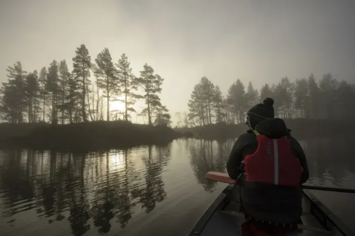 Framed Print : Canoeing on freshwater loch in mist, with Scots Pine (Pinus sylvestris) forest in background, Loch Beinn a Mheadhoin