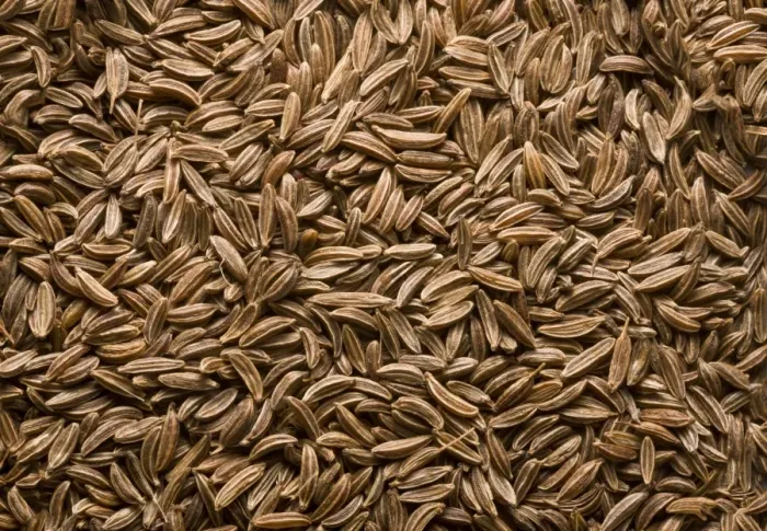 Framed Print : Caraway (Carum carvi) fruit, pile of seeds