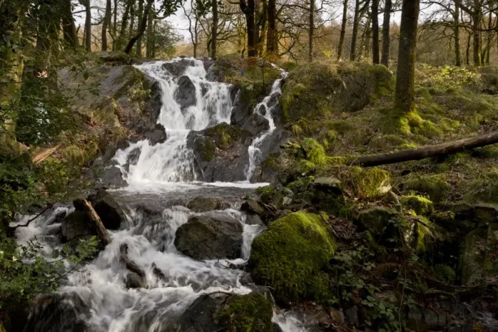 Framed Print : Cascades flowing over rocks in river, Tom Gill Beck, below Tarn Hows, Lake District, Cumbria, England, November Framed Print : Cascades flowing over rocks in river, Tom Gill Beck, below Tarn Hows, Lake District, Cumbria, England, November
