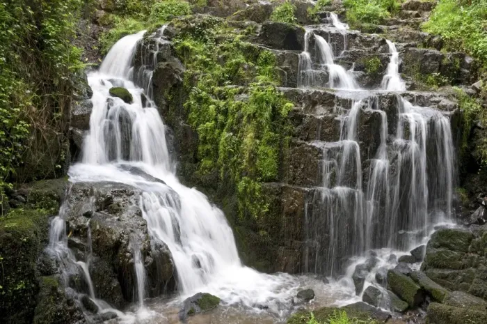Framed Print : Cascades in stream, Petite Cascade, River Cancon, Mortain, Normandy, France, April Framed Print : Cascades in stream, Petite Cascade, River Cancon, Mortain, Normandy, France, April