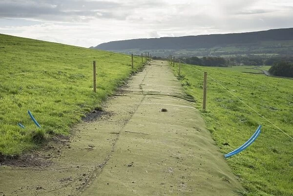 Cattle farming, astroturf cow track for dairy cows, Whitewell, Lancashire, England, October