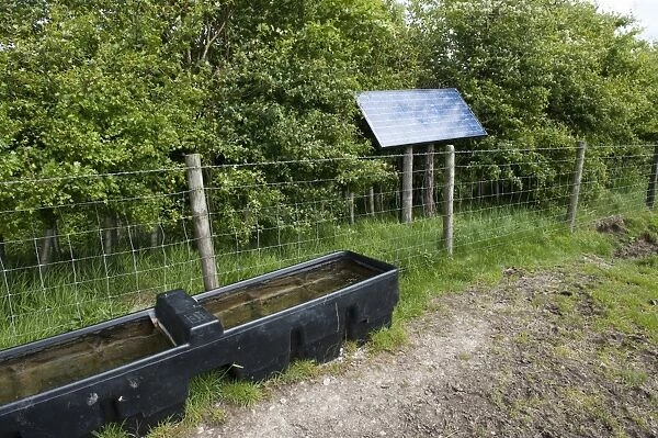 Cattle farming, livestock drinking trough, filled with solar powered pump, beside wire fence in pasture, England, may