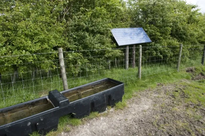 Framed Print : Cattle farming, livestock drinking trough, filled with solar powered pump, beside wire fence in pasture, England, may Framed Print : Cattle farming, livestock drinking trough, filled with solar powered pump, beside wire fence in pasture, England, may