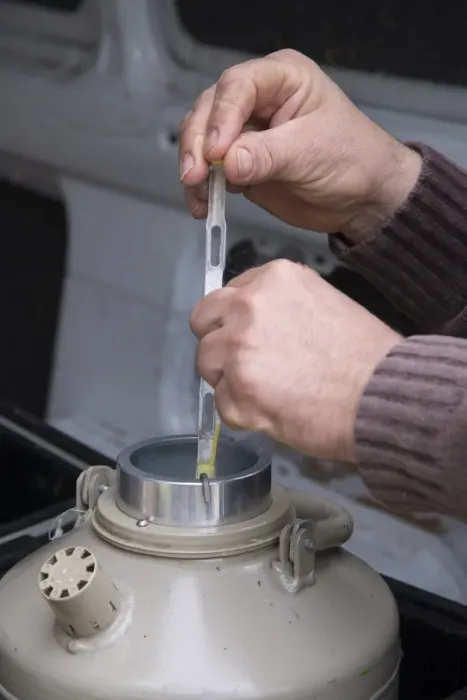 Framed Print : Cattle farming, removing straws of embryos from flask containing liquid nitrogen for embryo transfer into recipient Framed Print : Cattle farming, removing straws of embryos from flask containing liquid nitrogen for embryo transfer into recipient