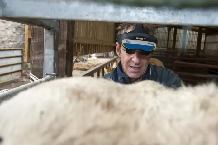 Framed Print : Cattle farming, vet pregnancy detecting cow using ultrasonic scanner and headset to see image in glasses, Cumbria