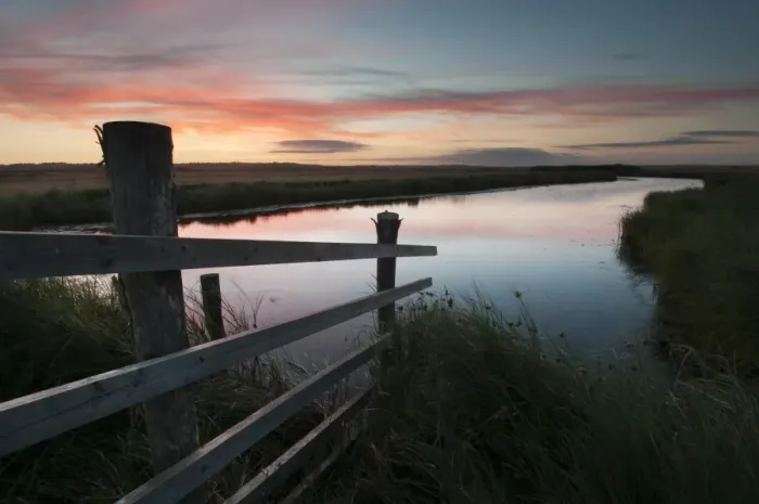 Framed Print : Cattle fence and flooded ditch on coastal grazing marsh habitat at sunrise, Elmley Marshes N. N. R