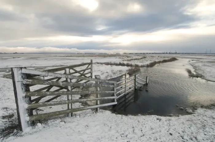 Framed Print : Cattle fence and grazing marsh habitat in snow, Elmley Marshes N. N. R. North Kent Marshes, Isle of Sheppey, Kent