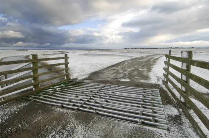 Framed Print : Cattle grid and grazing marsh habitat in snow, Elmley Marshes N. N. R. North Kent Marshes, Isle of Sheppey, Kent Framed Print : Cattle grid and grazing marsh habitat in snow, Elmley Marshes N. N. R. North Kent Marshes, Isle of Sheppey, Kent