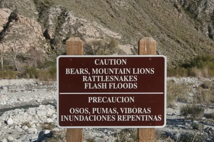 Framed Print : Caution, Bears, Mountain Lions, Rattlesnakes, Flash Floods bilingual warning sign in desert, Whitewater Preserve, Southern California, U. S. A Framed Print : Caution, Bears, Mountain Lions, Rattlesnakes, Flash Floods bilingual warning sign in desert, Whitewater Preserve, Southern California, U. S. A