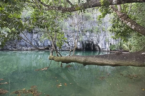 Cave entrance to subterranean river, Puerto Princesa Subterranean River N. P
