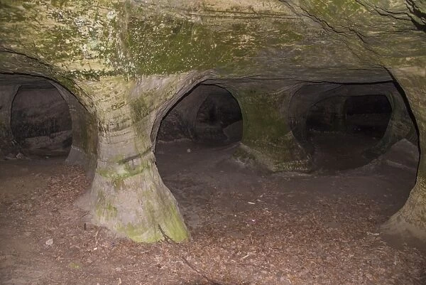 Caves created during stone quarrying in 18th Century, site housing bats, Beeston Castle, Tarporley, Cheshire, England