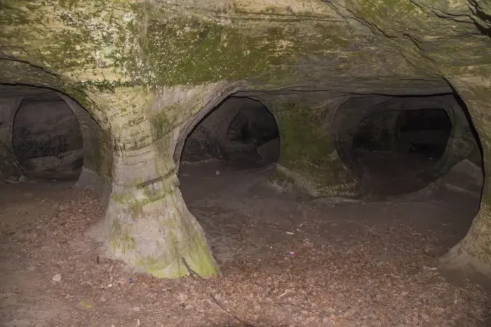 Framed Print : Caves created during stone quarrying in 18th Century, site housing bats, Beeston Castle, Tarporley, Cheshire, England Framed Print : Caves created during stone quarrying in 18th Century, site housing bats, Beeston Castle, Tarporley, Cheshire, England
