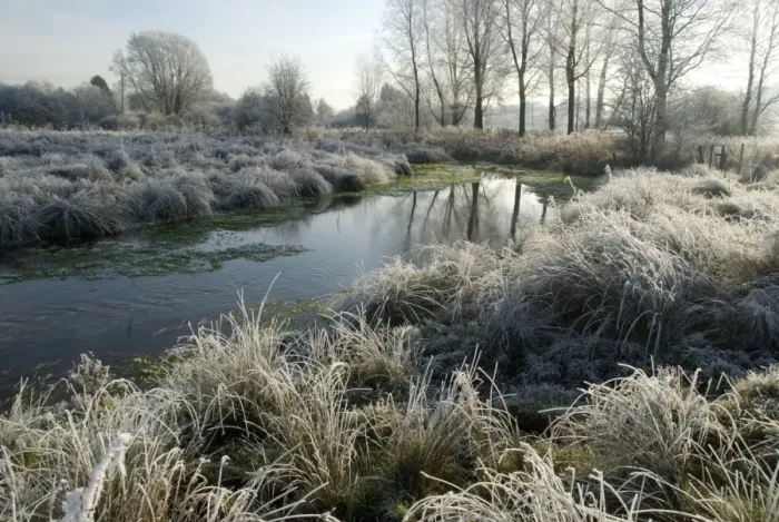 Framed Print : Chalk stream on frosty morning, River Gade, between Great Gaddesden and Water End, Gade Valley, Chilterns Framed Print : Chalk stream on frosty morning, River Gade, between Great Gaddesden and Water End, Gade Valley, Chilterns