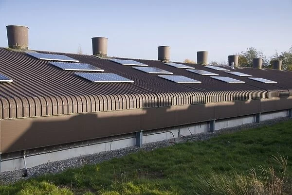 Chicken farming, solar panels on roof of poultry unit, Lancashire, England, November