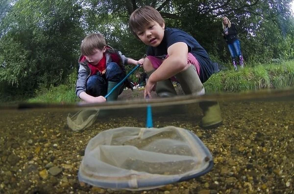 Children pond-dipping with nets in river, Fairham Brook, Nottingham, Nottinghamshire, England, August