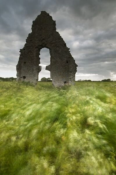 Church ruins and windblown vegetation, Midley Church, Romney Marsh, Kent, England, June