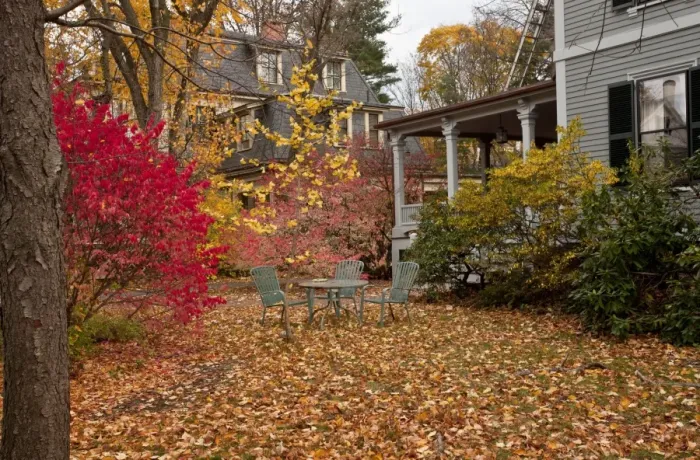 Framed Print : City garden with table and chairs in autumn, Cambridge, Massachusetts, U. S. A. november Framed Print : City garden with table and chairs in autumn, Cambridge, Massachusetts, U. S. A. november