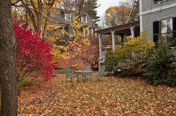 City garden with table and chairs in autumn, Cambridge, Massachusetts, U. S. A. november