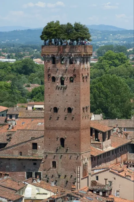Framed Print : City tower with hanging garden on roof, Torre Guinigi, Lucca, Tuscany, Italy, june Framed Print : City tower with hanging garden on roof, Torre Guinigi, Lucca, Tuscany, Italy, june