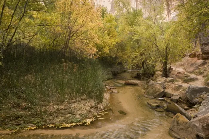 Framed Print : Clean creek and unspoilt riparian vegetation, Calf Creek, Grand Staircase-Escalante National Monument, Utah, U. S. A Framed Print : Clean creek and unspoilt riparian vegetation, Calf Creek, Grand Staircase-Escalante National Monument, Utah, U. S. A