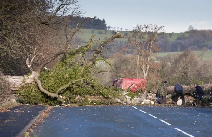 Framed Print : Clearing fallen tree from road after being blown over in wind, near Clitheroe, Lancashire, England, December Framed Print : Clearing fallen tree from road after being blown over in wind, near Clitheroe, Lancashire, England, December