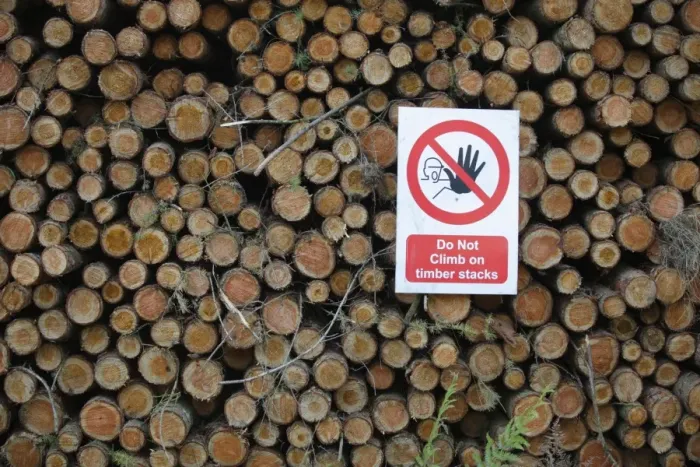 Framed Print : Do Not Climb on timber stacks warning sign on log stack, Forest of Dean, Gloucestershire, England, september