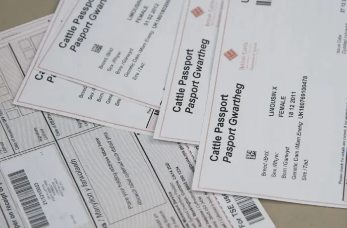 Framed Print : Close-up of bilingual cattle passports at livestock market, Brockholes Auction Mart, Preston, Lancashire, England Framed Print : Close-up of bilingual cattle passports at livestock market, Brockholes Auction Mart, Preston, Lancashire, England