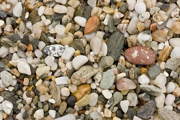 Close-up of fine multi-coloured gravel and pebble beach, Prawle Point, South Devon, England, September