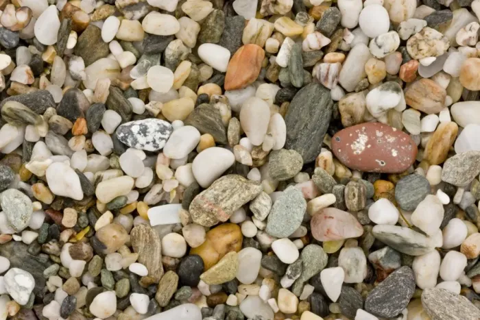 Framed Print : Close-up of fine multi-coloured gravel and pebble beach, Prawle Point, South Devon, England, September Framed Print : Close-up of fine multi-coloured gravel and pebble beach, Prawle Point, South Devon, England, September