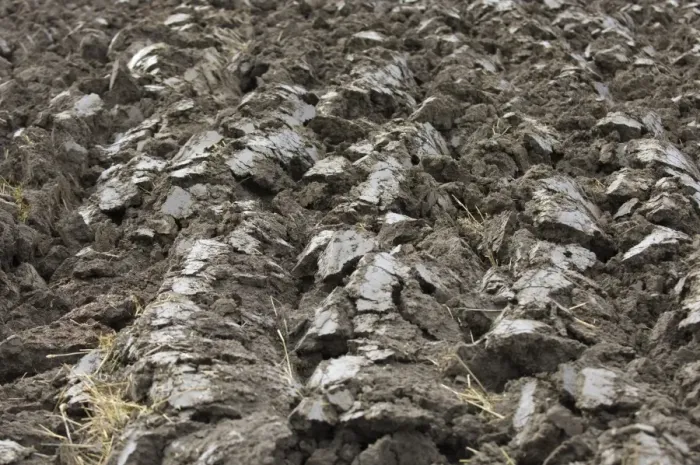 Framed Print : Close-up of furrows in newly ploughed field, Sweden, autumn Framed Print : Close-up of furrows in newly ploughed field, Sweden, autumn