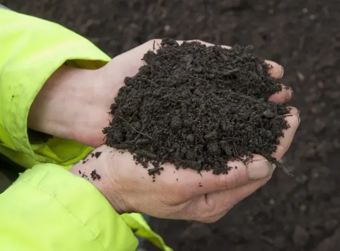Framed Print : Close-up of hands holding green compost waste at municipal waste site, near Chester, Cheshire, England, march Framed Print : Close-up of hands holding green compost waste at municipal waste site, near Chester, Cheshire, England, march