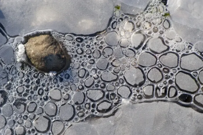 Framed Print : Close-up of ice formed around stone at edge of lake, Semerwater, Wensleydale, Yorkshire Dales N. P