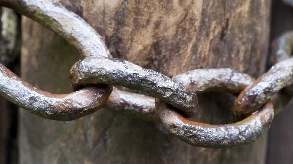 Close-up of old metal chain around gatepost, North Yorkshire, England, July