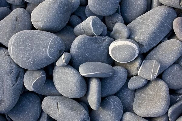 Close-up of rounded sandstone pebbles on beach, Hartland Quay, North Devon, England, may